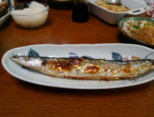 さんま豊漁！！